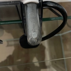 水槽の画像