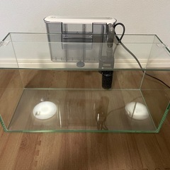 水槽