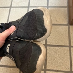 フレックスランナー20センチの画像