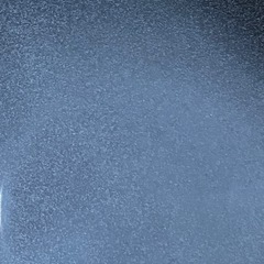 ゾウリムシ
