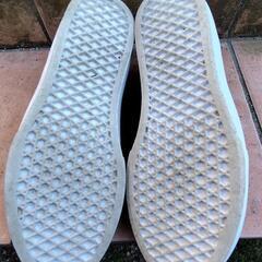 VANS　靴の画像