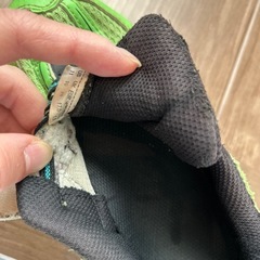 瞬足　17㎝の画像