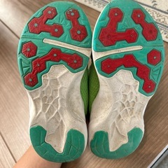 瞬足　17㎝の画像