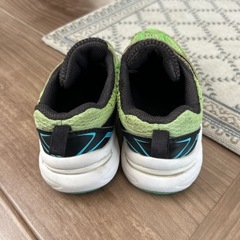 瞬足　17㎝の画像