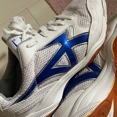 25.0 メッシュスポーツシューズ ホワイト/ブルー　体育館履き...