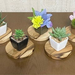 栗の木コースター