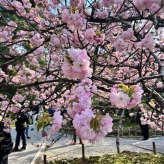  キラキラ女子会おひとり様大歓迎♫ - 京都市