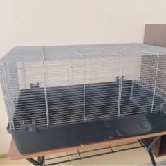 小動物ゲージ☆ハリネズミ
