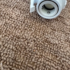洗濯機　給水ホースの画像