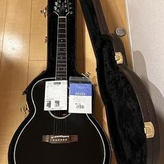Takamine DMP751C BL タカミネ エレアコ (咲良) 浅香山の弦楽器