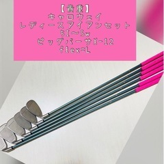 Callawayアイアンセット【レディース】ピッグバーサx12 ...