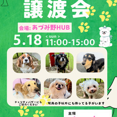 わんちゃんの譲渡会