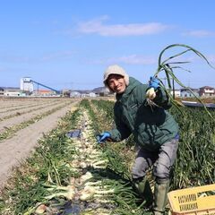 【ゆる募】畑でちょっとお手伝いしてくれる方いませんか？草むしり・収穫など🌿（南あわじ）の画像