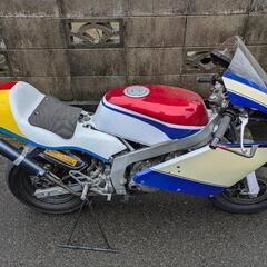 NSR50レーサーの画像
