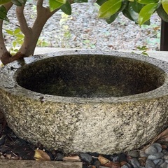 石臼の水鉢　