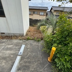 雑草抜き　