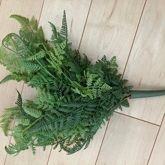 造花　シダ