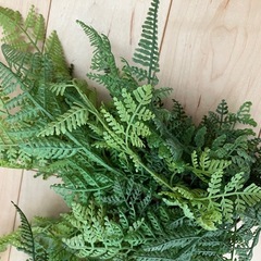 造花　シダの画像
