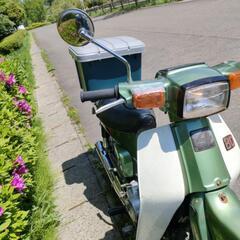 (取引先決定)スズキ バーディー80（4スト）の画像
