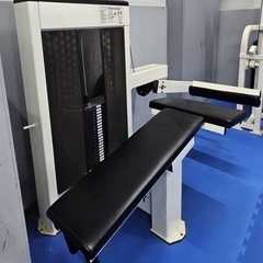 Cybex Prone Leg Curl 筋トレマシン　レッグカール