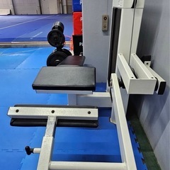 Cybex Prone Leg Curl 筋トレマシン　レッグカールの画像