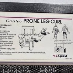 Cybex Prone Leg Curl 筋トレマシン　レッグカールの画像