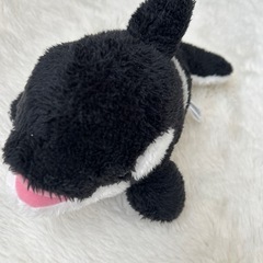 シャチ（鴨川シーワールド産）