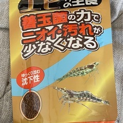 エビ餌