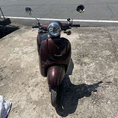 原付  ホンダ  ジョルノ  50cc