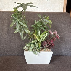 観葉植物(造花)