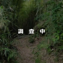 №D343【山梨県南部町内船】約17,000㎡の山林あげます！