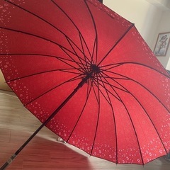 16本骨🌸和柄傘👘数回のみ使用 淵桜