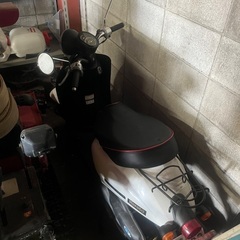 HONDA トゥデイ AF67 ＊決まりました＊の画像