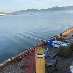 チヌ釣りお仲間