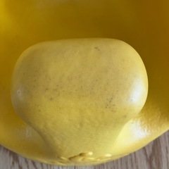 バンボ　イエローの画像