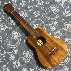 希少 Ceniza T&K セニーザ コア コンサートウクレレ ...