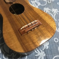 希少 Ceniza T&K セニーザ コア コンサートウクレレ ハワイ製の画像