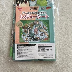 レジャーシート