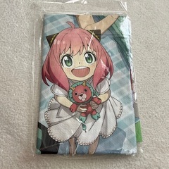 レジャーシートの画像
