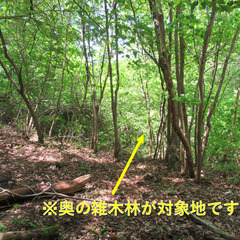 №E607【岐阜県土岐市鶴里町】山林1筆あげます！