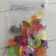 昆虫ゼリー☆19個　※本文ご確認ください