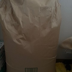 令和6年 コシヒカリ 玄米 30㎏