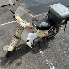 リトルカブ