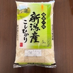 【5キロのみ】【大好評】老舗お米屋さんのお米 令和6年産 令和7...