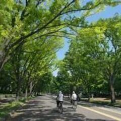 駒沢公園の目の前で、街に愛されるタコス店を一緒につくりませんか？の画像