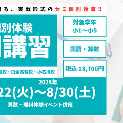 【RISU塾小石川校】2025年セミ個別指導型夏期講習