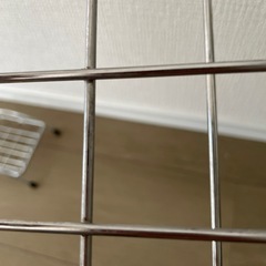 シャンプーボトルスタンド＋おまけ の画像