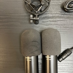 【横浜市西区引渡し】Steinberg CI1 + NEEWER NW-800×2 収録セットの画像