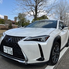 オークション会場での中古車買付け・売却代行します
