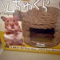 来週中に処分‼️ハムスター飼育セットの画像